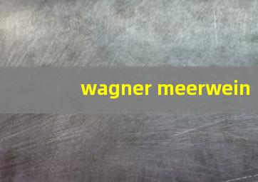 wagner meerwein